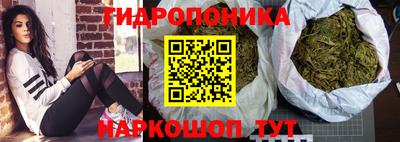 молекула духа Ливны