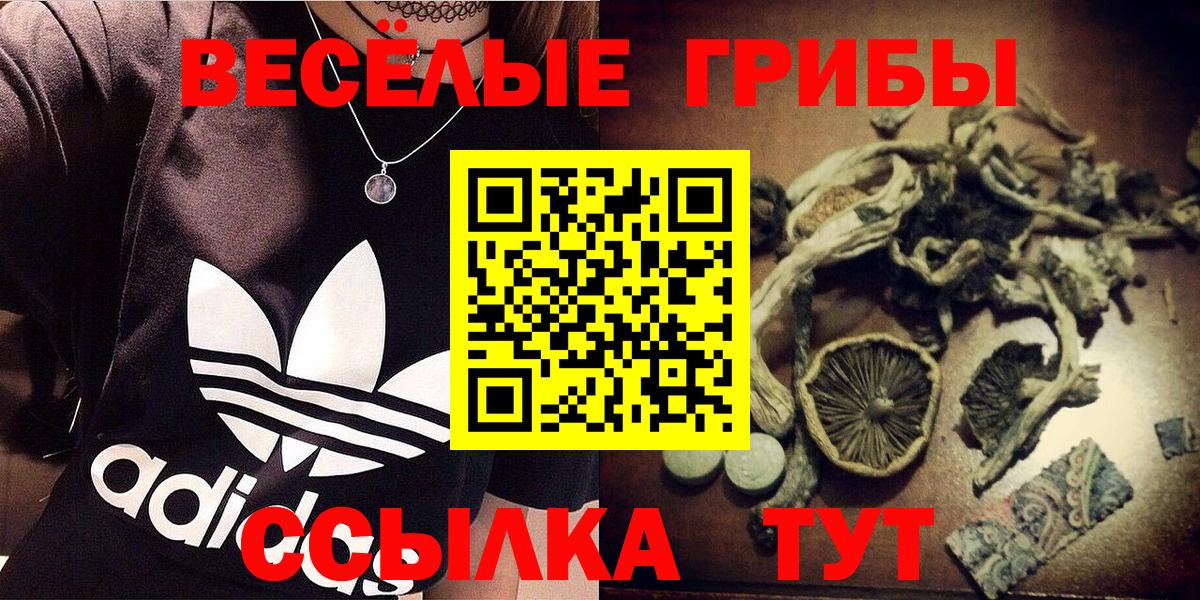 Псилоцибиновые грибы GOLDEN TEACHER Знаменск